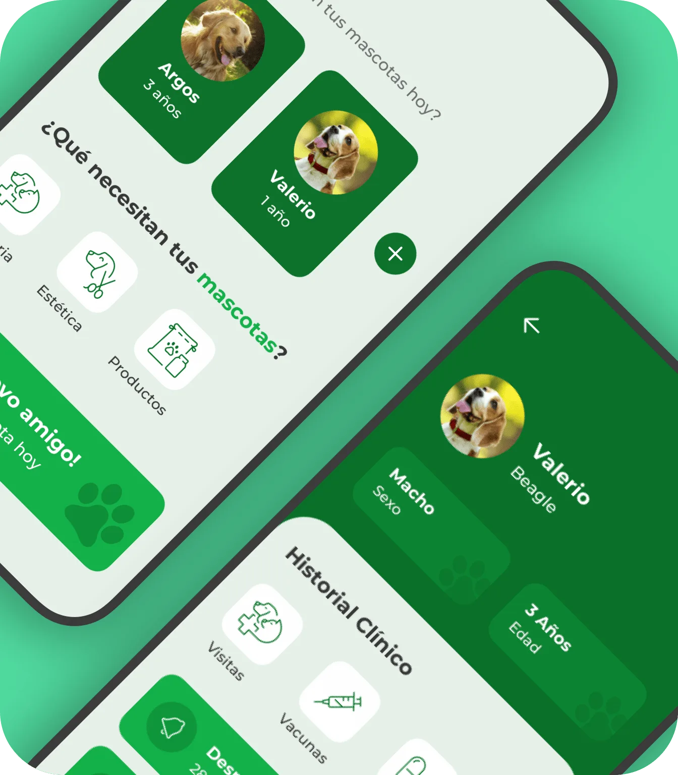 Dog it challenges